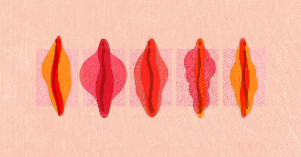 بهترین دکتر عمل زیبایی واژن در اصفهان