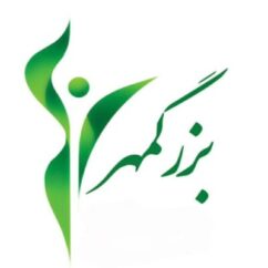 کلینیک بزرگمهر